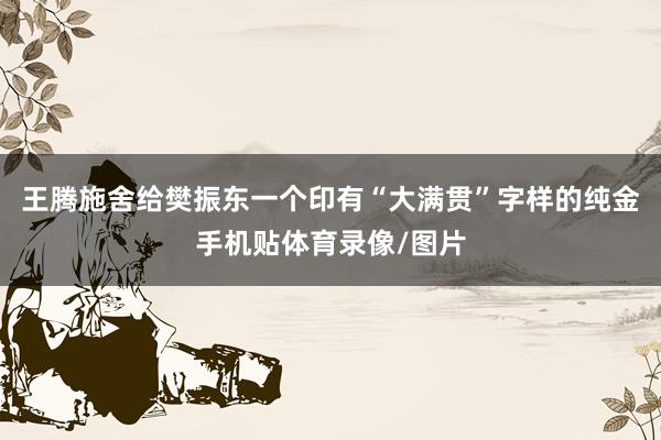 王腾施舍给樊振东一个印有“大满贯”字样的纯金手机贴体育录像/图片