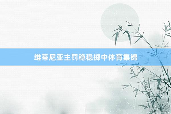 维蒂尼亚主罚稳稳掷中体育集锦