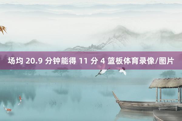 场均 20.9 分钟能得 11 分 4 篮板体育录像/图片