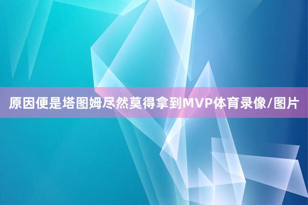原因便是塔图姆尽然莫得拿到MVP体育录像/图片