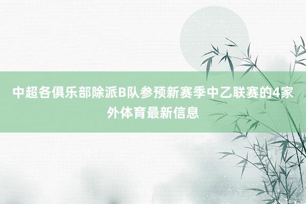中超各俱乐部除派B队参预新赛季中乙联赛的4家外体育最新信息
