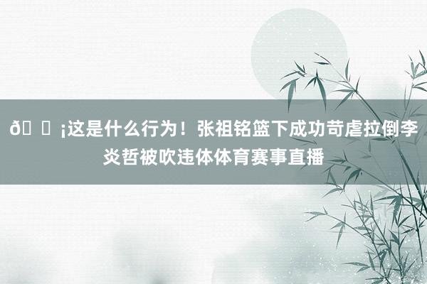 😡这是什么行为！张祖铭篮下成功苛虐拉倒李炎哲被吹违体体育赛事