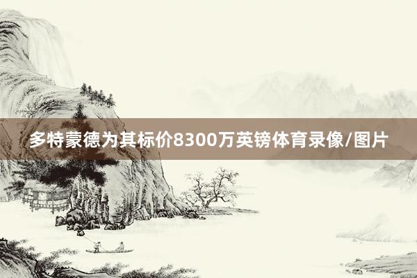 多特蒙德为其标价8300万英镑体育录像/图片