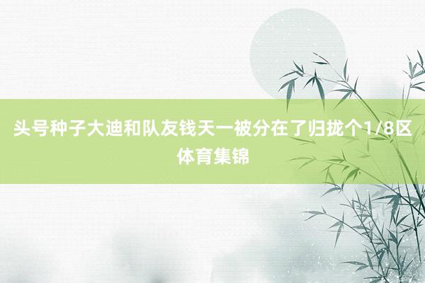 头号种子大迪和队友钱天一被分在了归拢个1/8区体育集锦