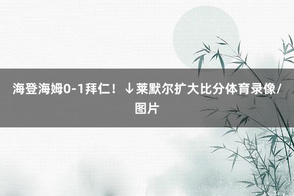 海登海姆0-1拜仁！↓莱默尔扩大比分体育录像/图片